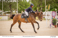 Les écuries Saint Bruno